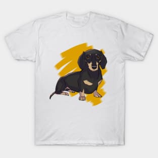 Chromatic dachshund T-Shirt